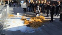 רפתנים מפגינים בדימונה בזמן ישיבת ממשלה (צילום: התאחדות יצרני החלב)