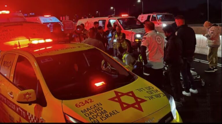 זירת התאונה הקטלנית בכביש 2 (צילום: תיעוד מבצעי מד"א)