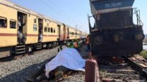 שבעה פילים נהרגו בתאונת רכבת בהודו (צילום: רויטרס)