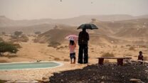 גשם ביישוב צוקים בערבה התיכונה (צילום: אביעד בר, בר במדבר)
