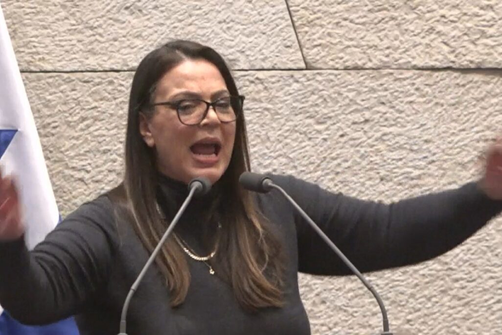 ח"כ גלית דיסטל אטבריאן במליאת הכנסת (צילום מסך)