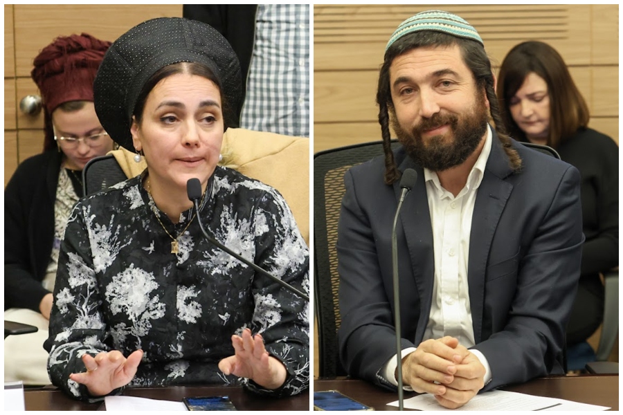 ח"כ צבי סוכות וח"כ לימור סון הר מלך בדיון שבו מונו לראשי ועדות החינוך והבריאות, בהתאמה (צילום: דני שם-טוב, דוברות הכנסת)