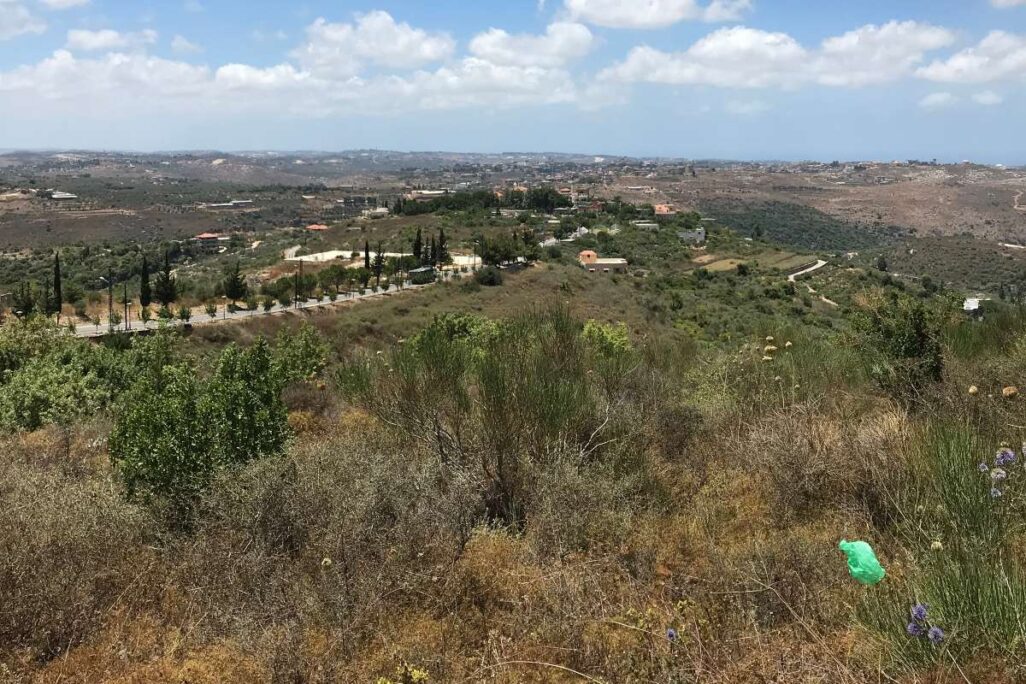כפר מלכי בדרום לבנון (צילום: Rik Spoutnik / Wikimedia commons) כפר מלכי בדרום לבנון (צילום: Rik Spoutnik / Wikimedia commons)