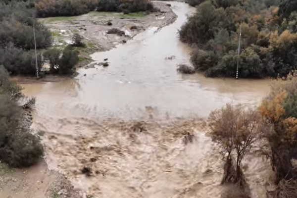 נחל צאלים מוצף בשל מזג האוויר הסוער (צילום מסך, רשתות חברתיות)