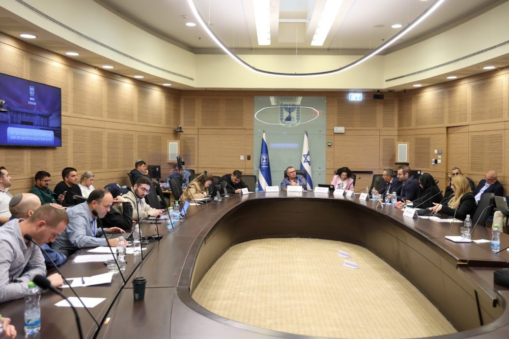 דיון בוועדת הכלכלה של הכנסת (צילום: דוברות הכנסת, דני שם טוב) דיון בוועדת הכלכלה של הכנסת (צילום: דוברות הכנסת, דני שם טוב)