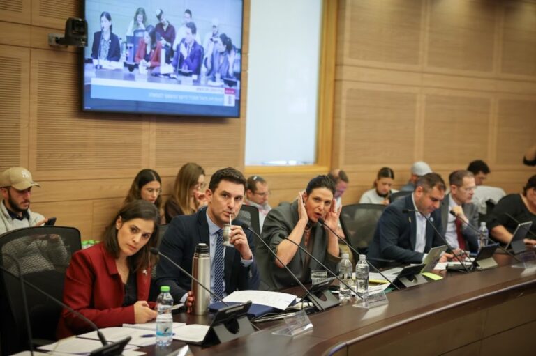 ח"כ אפרת רייטן (במרכז) בדיון בוועדת החוקה של הכנסת (צילום: נועם מושקוביץ/דוברות הכנסת)