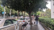 יום גשום בראשון לציון (צילום: קרן שמש)