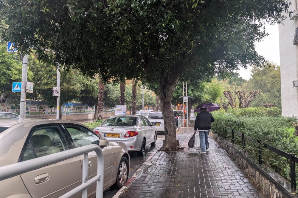 יום גשום בראשון לציון (צילום: קרן שמש) יום גשום בראשון לציון (צילום: קרן שמש)