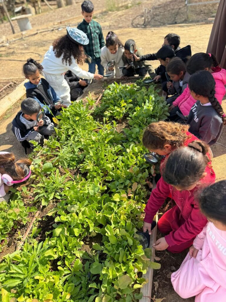 פעילות חקלאית בפרויקט 'ואדי עתיר'. "רציתי לעשות שינוי, לתרום לחברה" (צילום: 'ואדי עתיר)')