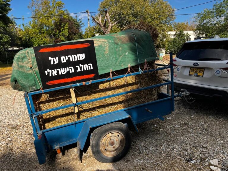 מחאת הרפתנים נגד הרפורמה במשק החלב של משרד האוצר (צילום: מאיה רונן)