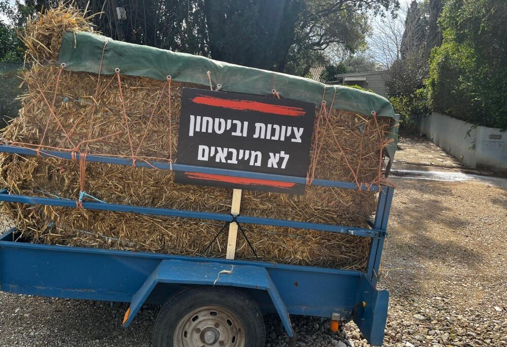 מחאת הרפתנים נגד הרפורמה במשק החלב של משרד האוצר (צילום: מאיה רונן) מחאת הרפתנים נגד הרפורמה במשק החלב של משרד האוצר (צילום: מאיה רונן)