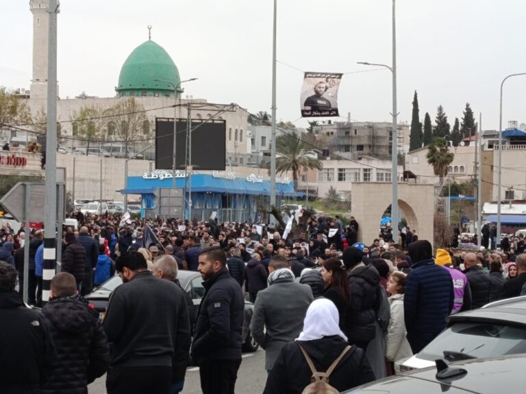 מוחים נגד האלימות בחברה הערבית בסח'נין (צילום: יניב שרון)