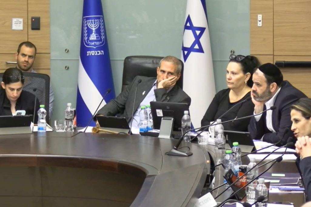 דיון בוועדת הכספים על ריווח מדרגות מס הכנסה (צילום מסך: ערוץ הכנסת)