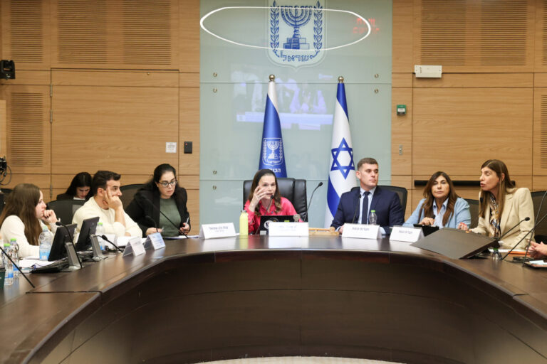 דיון ועדת העבודה והרווחה בראשות ח"כ מיכל וולדיגר (צילום: דוברות הכנסת, דני שם טוב)