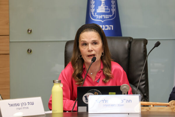 ח"כ מיכל וולדיגר בדיון ועדת העבודה והרווחה (צילום: דני שם טוב, דוברת הכנסת)