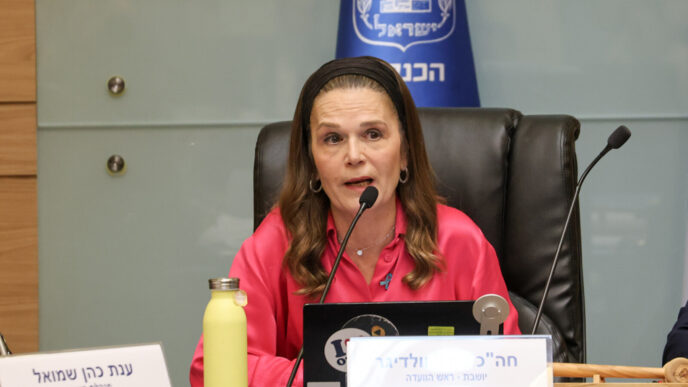 ח"כ מיכל וולדיגר בדיון ועדת העבודה והרווחה (צילום: דני שם טוב, דוברת הכנסת)