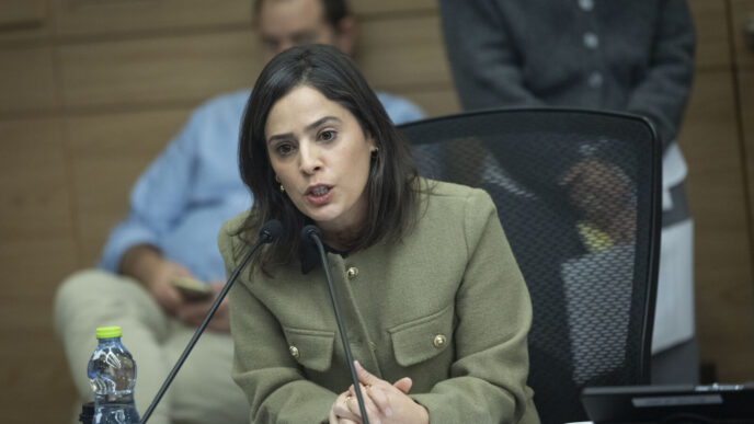 ח"כ עדי עזוז. ההסתייגות של הקואליציה נפלה ברוב של ארבעה מול שניים (צילום: חיים גולדברג/ פלאש 90)