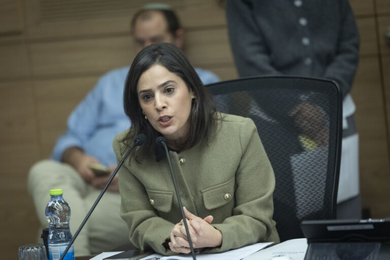 ח"כ עדי עזוז (צילום: חיים גולדברג/ פלאש 90)
