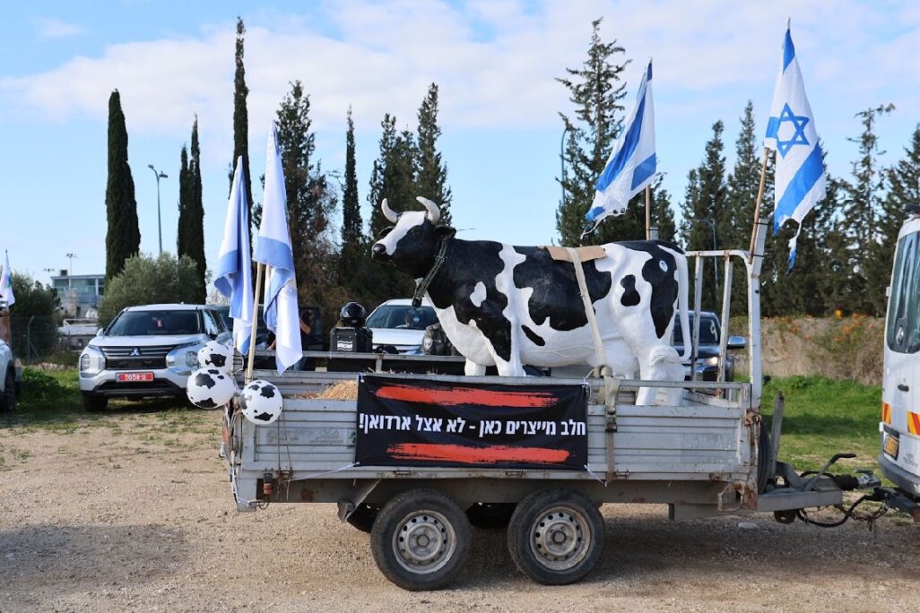 פסל של פרה בשיירת המחאה נגד רפורמת החלב (צילום: יריב דגן)