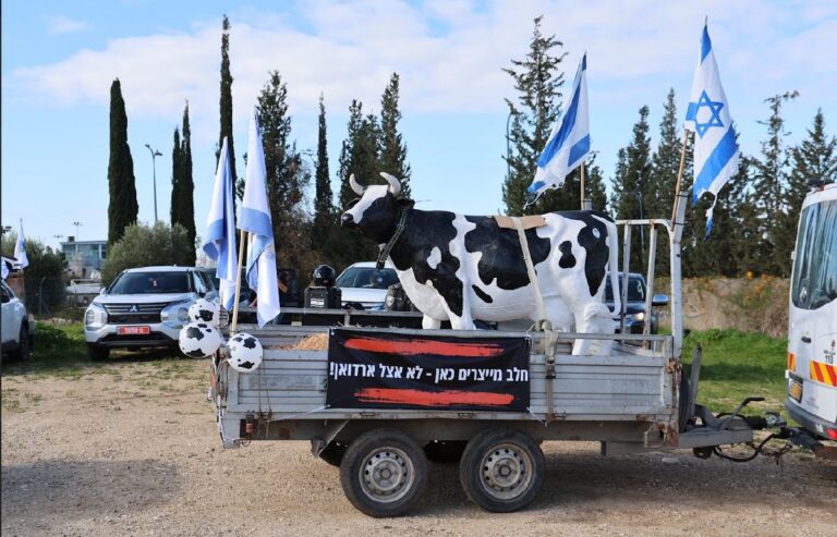פסל של פרה בשיירת המחאה נגד רפורמת החלב (צילום: יריב דגן)
