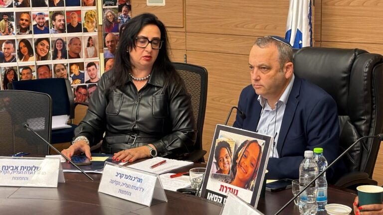 ח"כ גלעד קריב, יו"ר ועדת העלייה והקליטה, בדיון מיוחד במלאת שנתיים להיעלמות הילדה היימנוט קסאו (צילום: ללא קרדיט)