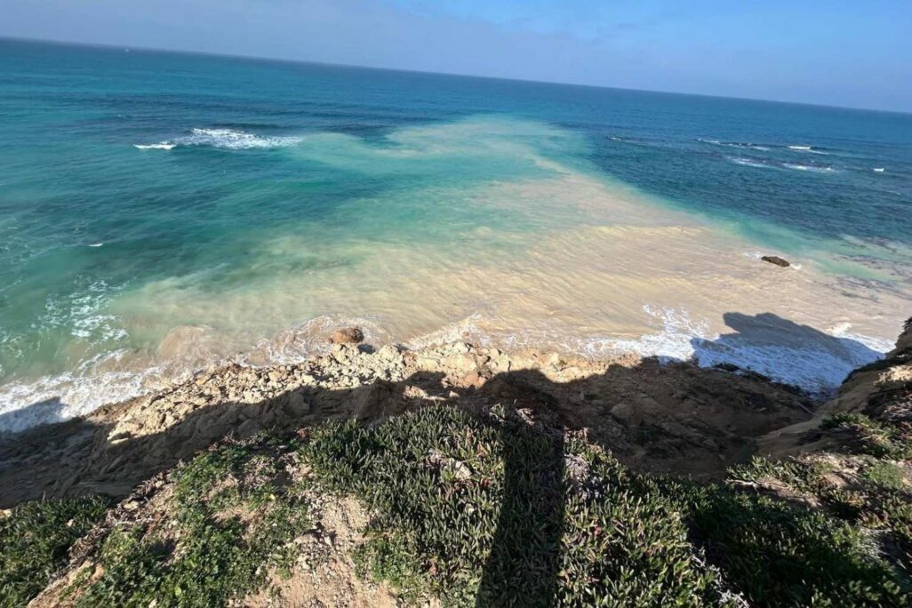 הקריסה המצוק החלקית בחוף סידני עלי בהרצליה (צילום: אסף ניסנבוים רשות הטבע והגנים)