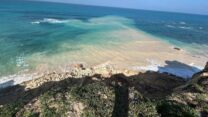 הקריסה המצוק החלקית בחוף סידני עלי בהרצליה (צילום: אסף ניסנבוים רשות הטבע והגנים)