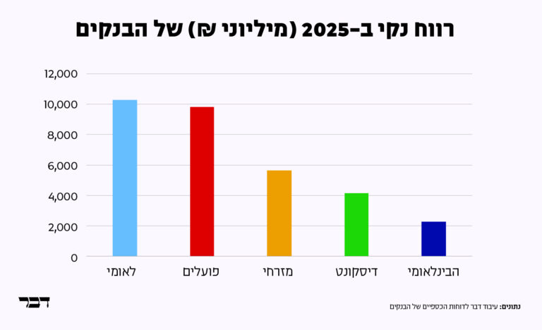 רווחי הבנקים ב-2025 (גרפיקה: דבר)