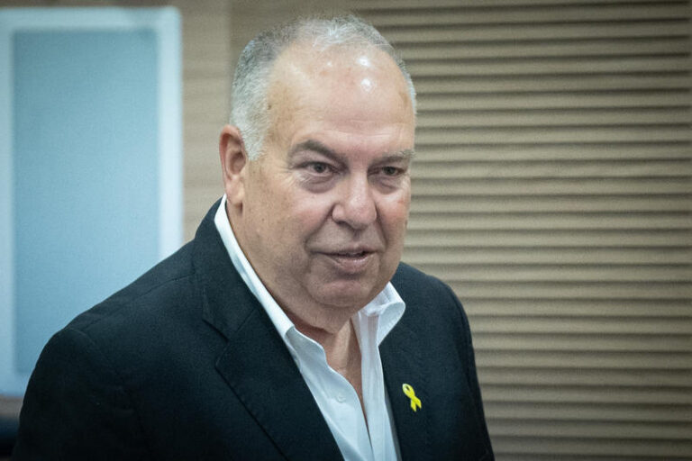 יו"ר נשיאות הארגונים העסקיים דובי אמיתי בוועדת הכלכלה (צילום: יונתן זינדל/פלאש90)