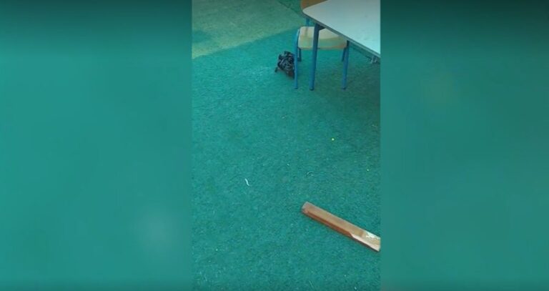 נפילת רסיס של טיל איראני בגן בלוד (לפי סעיף 27א')