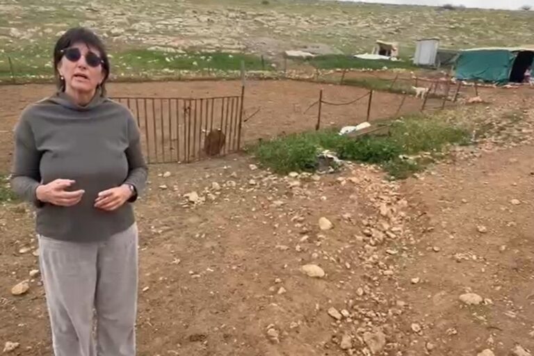 רות בידץ בכפר ח'ירבת חומסה אל-פווקה אחרי תקיפת תושביו (צילום מסך: 'קול רבני לזכויות אדם')