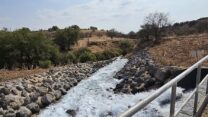 מתקן הזרמת מים מותפלים מהמוביל הארצי החדש אל נחל צלמון (צילום: Jo157  / ויקימדיה קומונס)