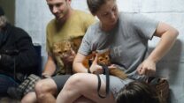אנשים וחתולים במקלט ברמת גן במהלך מבצע 'עם כלביא' (צילום ארכיון: vladi konov / Shutterstock)