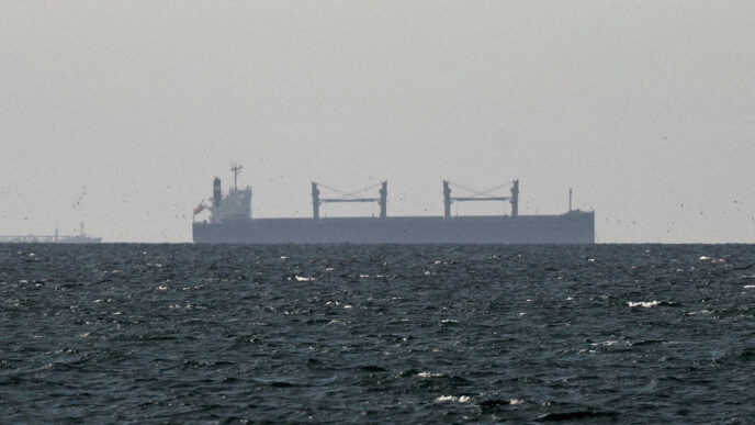 ספינת משא במפרץ סמוך למצר הורמוז (צילום: REUTERS/Stringer)