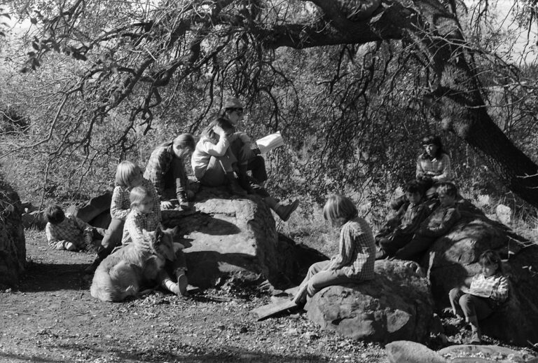 שיעור בטבע, שמיר, 1974 (צילום: אברהם אילת)