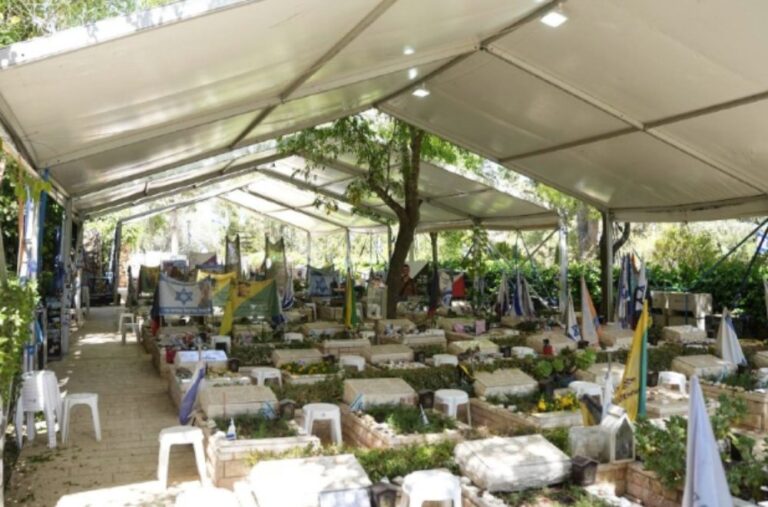 קברי חללי מערכות ישראל בבית הקברות בהר הרצל (צילום: משרד הביטחון)