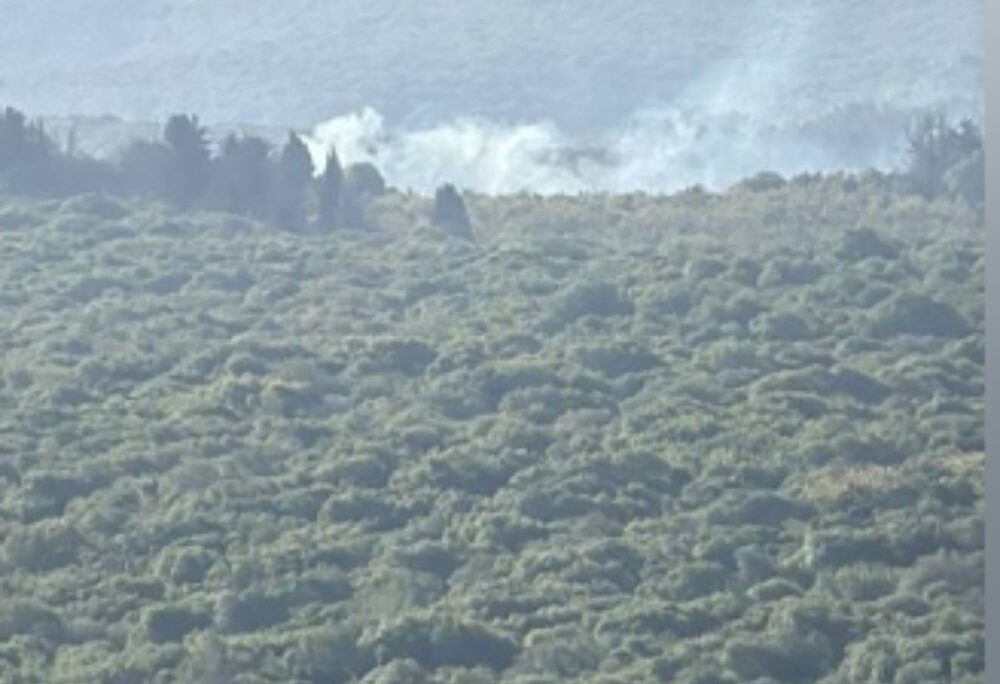 נפילה בשטח פתוח מול גורן שבגליל המערבי (צילום: סעיף 27א לחוק זכות יוצרים)