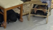 ילדים מתחבאים בכפר הלא מוכר בנגב ואדי אל נעם (צילום: המועצה לכפרים לא מוכרים)