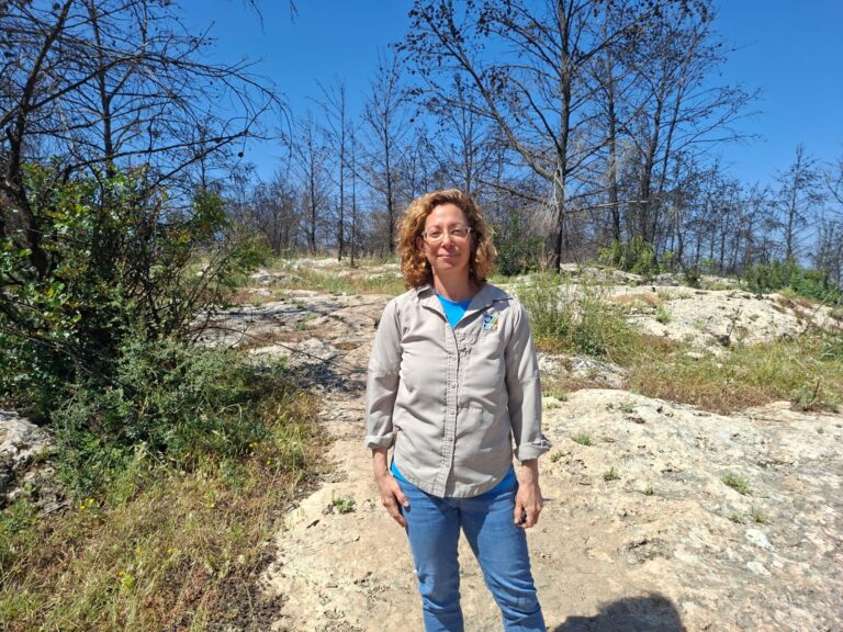 נורית היבשר. "המון שריפות שפורצות בקיץ אינן מגיעות לכותרות כי אנחנו מטפלים בהן במקום" (צילום: יובל לקח)