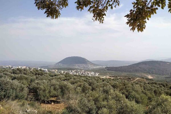 מקטע הר תבור בשביל ישראל (צילום: מכון אבשלום)