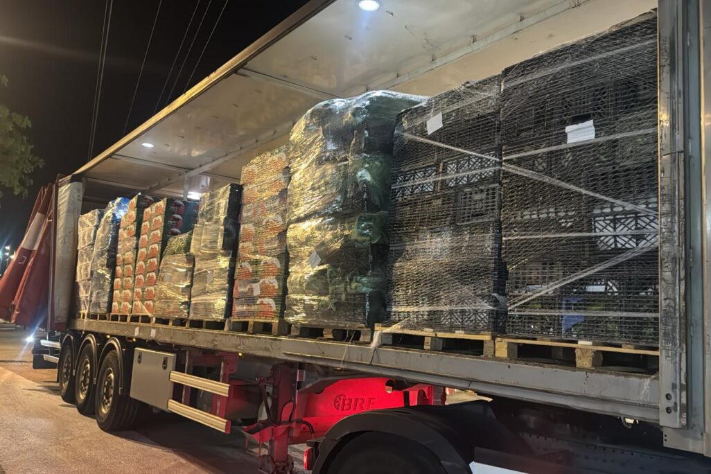 משאית שמבריחה פירות וירקות דרך מחסום הבקעה (צילום: משרד הבריאות) משאית שמבריחה פירות וירקות דרך מחסום הבקעה (צילום: משרד הבריאות)