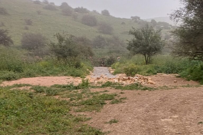 נקודת הזרמת המים המותפלים לנחל צלמון (צילום: אמיתי פרץ)