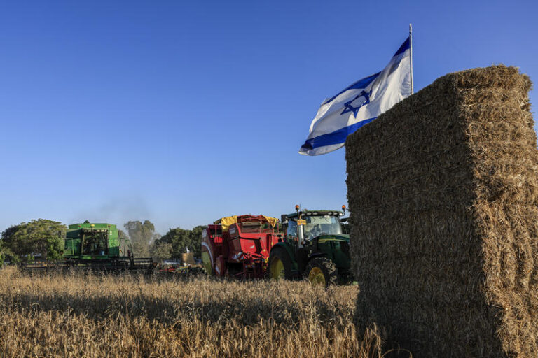 חגיגות שבועות בקיבוץ נחל עוז (צילום: צפריר אביוב/פלאש90)