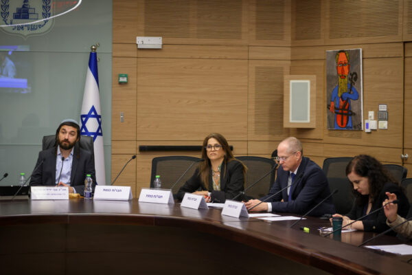ח"כ מירב בן ארי (שנייה משמאל) בדיון ועדת החינוך על קריסת ענף התרבות (צילום: נועם מושקוביץ/דוברות הכנסת)