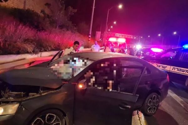 רצח כפול סמוך לרמלה (צילום: תיעוד מבצעי מד"א)