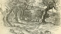איור מהספר 'ארץ הקודש וכתבי הקודש', 1888 (מתוך ויקימדיה)