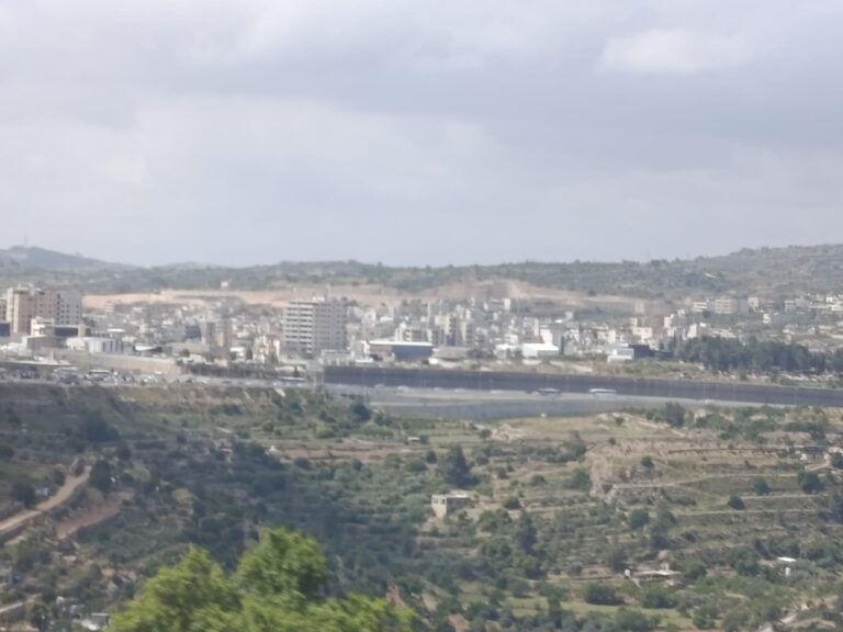 חומת ההפרדה ושדות בתי ג'אלא, מבט מבית ג'אלא (צילום: יניב שרון)