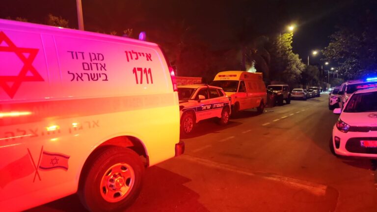 אמבולנס בזירת רצח ברמלה (צילום: דוברות מד"א)