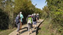 קבוצת מטיילים בשביל ישראל (צילום: גיל לייבוביץ/ מכון אבשלום)