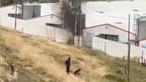 פורעים יהודים בכפר ג'אלוד בבנימין (צילום: רשתות חברתיות, סעיף 27א' לחוק זכויות יוצרים)
